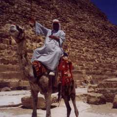 camel.jpg (10841 bytes)