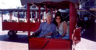 googstrain.jpg (13092 bytes)