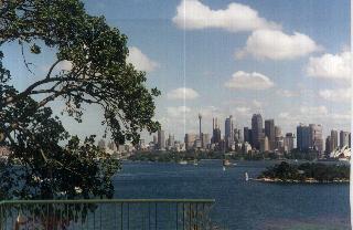 tzooview.jpg (16511 bytes)